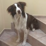Profile Picture of Vašek Nácovský (@vnacovsky) on Instagram