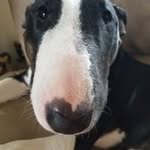 Profile Picture of Robert Wiencek (@robertwiencek) on Instagram