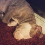 Profile Picture of Emaley Lutz (@amandahicks1214) on Instagram