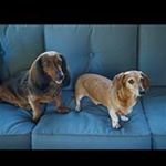 Profile Picture of Kyle Siebert (@kyle.siebert) on Instagram