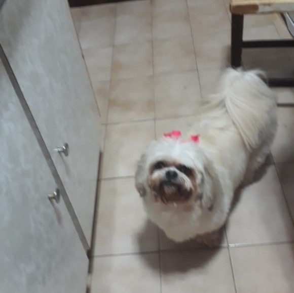 Profile Picture of Roberta Melo (@rofmelo) on Poshmark