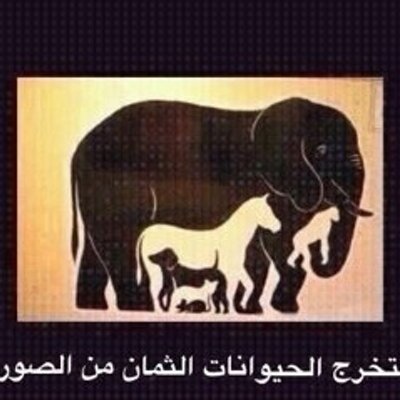 Profile Picture of Mohammed Mobarak (@moh_habrook) on Twitter