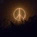 Profile Picture of Brandon Smith (@brandon.smith.106902) on Facebook