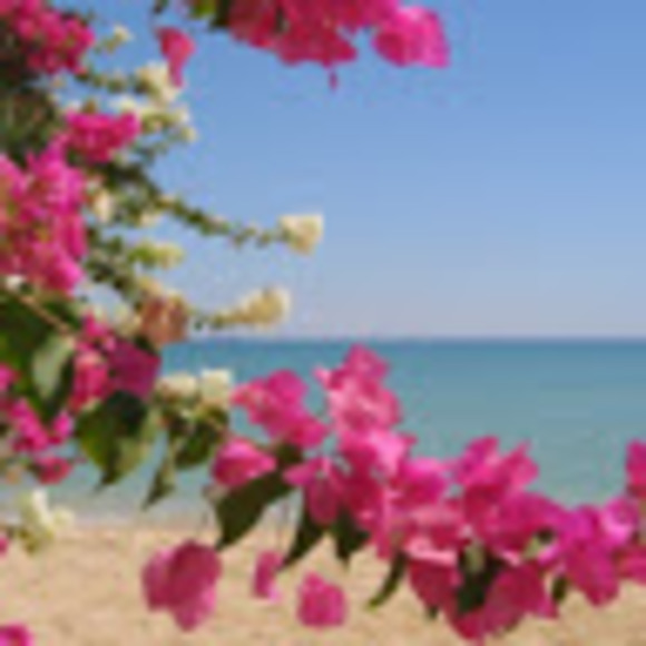 Anisha Shaikh - Poshmark Profile Picture of Anisha Shaikh (@anisha_shaikh) on Poshmark