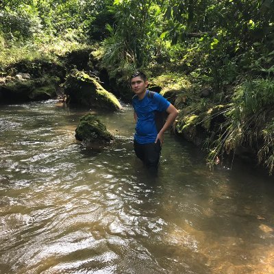 Profile Picture of Wilfredo Pérez (@Wilfred40210559) on Twitter