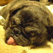 Profile Picture of Brian Navarro (@briannavarro9305) on Youtube