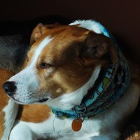 Profile Picture of Mandy Bailey (@mandy-bailey-2) on Quora