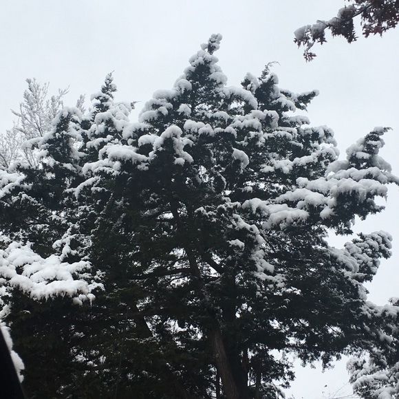 Profile Picture of Alexis Kagarice (@alexiskagarice) on Poshmark