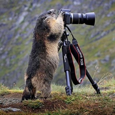 Profile Picture of Mc_Chauffour (@Mc_Chauffour) on Twitter