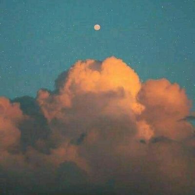 Profile Picture of Vince Milo (@VinceMilo2) on Twitter