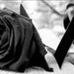 Profile Picture of Daniel Peñafiel (@daniel.penafiel.12576) on Facebook