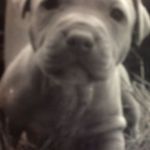 Profile Picture of Arron Patterson (@arron.patterson.319) on Instagram