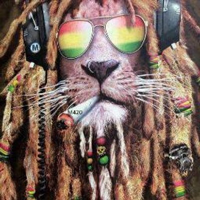 Profile Picture of Wilson Gomes (@wilsongomes1997) on Twitter