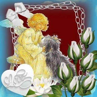 Profile Picture of Heidi Schrodi (@heidi.schrodi.7) on Facebook