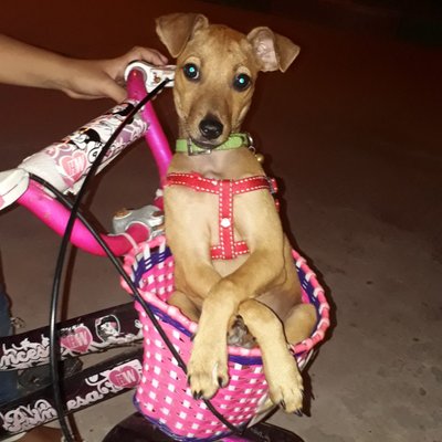 Profile Picture of Myriam Sabina Paz Berrio (@BerrioMyriam) on Twitter