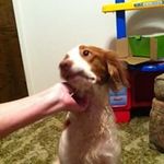 Profile Picture of Marsha Dollard (@marshadollard) on Instagram