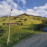 Daniel Banegas - Instagram Profile Picture of Daniel Banegas (@baize099) on Instagram