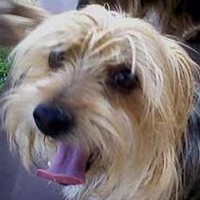 Profile Picture of Suzanne Dudley (@suzanne-dudley-6) on Quora