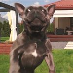 Profile Picture of Dustin Mackert (@dustinsrustin) on Instagram