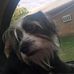 Profile Picture of David Derringer (David Derringer) (@david.derringer.3) on Facebook