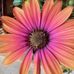 Profile Picture of Cindy Leonard (@cindy.leonard.24) on Facebook