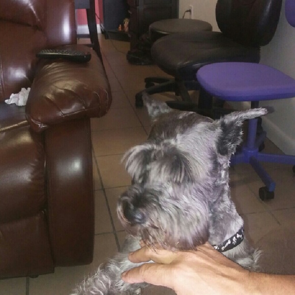 Profile Picture of Evelyn Araujo (@evelyn0326) on Poshmark