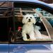 Profile Picture of Jonathan Lau (@jonlau) on Pinterest