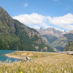 Profile Picture of John Irving (@jsi4) on Instagram