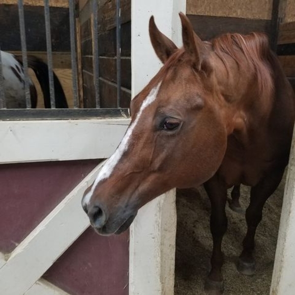 Profile Picture of Lisa Andersen-klein (@lisaandersen562) on Poshmark