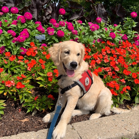 Profile Picture of Kendall Sabatelli (@kendallsab) on Poshmark