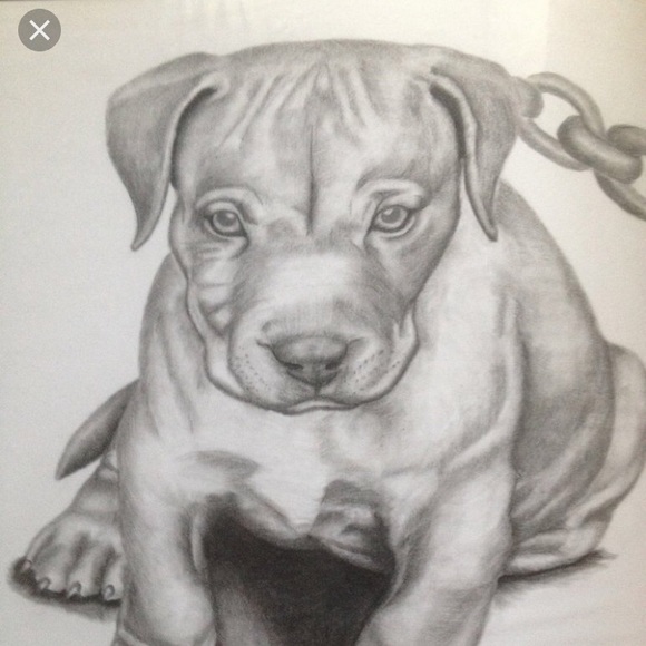 Profile Picture of Antonio Ferrer (@aferrer31) on Poshmark