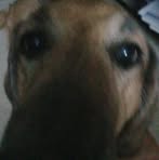 Profile Picture of Brian Witkowski (@brian.witkowski.750256) on Facebook