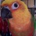 Profile Picture of Wallace Wilhelm (@wallace.wilhelm) on Facebook