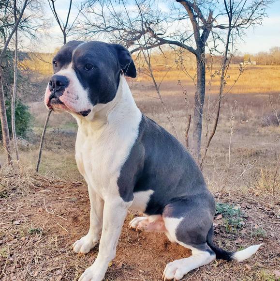 Profile Picture of Nathan Capehart (@nathancapehart) on Poshmark