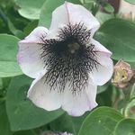 Profile Picture of Deanna Bockwitz Swendseid (@dswen1967) on Instagram