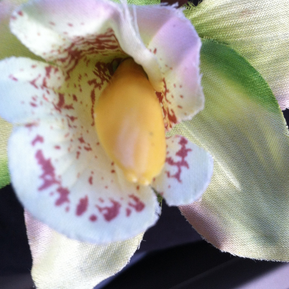 Profile Picture of Chantee Shiroma (@channche) on Poshmark