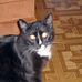 Profile Picture of Roberta Pate (@roberta.pate.5) on Facebook