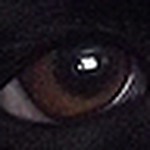 Profile Picture of Morag Watson-moore (@garom69) on Flickr