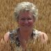 Profile Picture of Kimberley Claggett-Poalillo (@capemaykohrs) on Pinterest