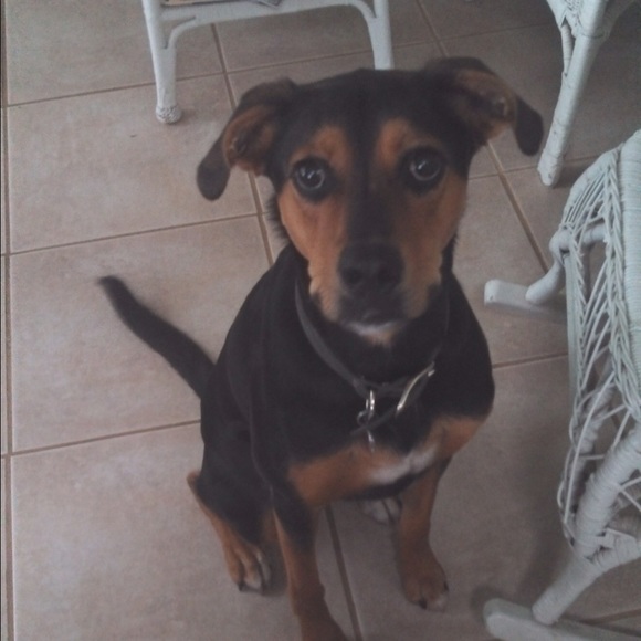 Profile Picture of Leah Parrish (@sha1231010) on Poshmark