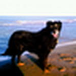 Profile Picture of Julia W Jimenez (@Julebug86) on Flickr