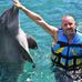 Profile Picture of Tony Morrison (Tony Bone) (@tony.morrison.161) on Facebook