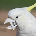 Profile Picture of Sean Kasper (@moistsean) on Instagram