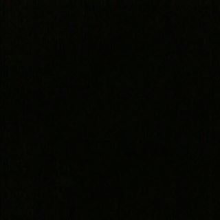 Profile Picture of Danny Litzin (@Danny-Litzin) on Facebook