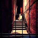 Profile Picture of Joey Babauta (@joeybeemine) on Instagram