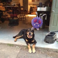 Profile Picture of Matthew Mast (@matthew-mast-8) on Quora