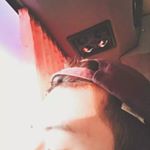 Profile Picture of Joshua Chiang (@joshua0807) on Instagram
