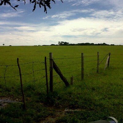 Profile Picture of Harold Ivan Ladino (@HaroldLatino) on Twitter