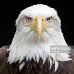 Profile Picture of David Gibert (@David-Gibert) on Facebook