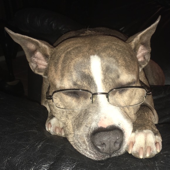 Jeff Leslie - Poshmark Profile Picture of Jeff Leslie (@jeffleslie2414) on Poshmark